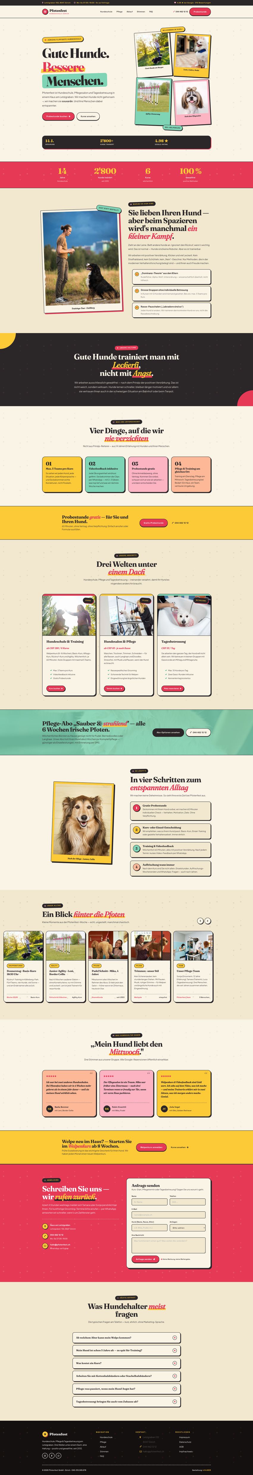 Designbeispiel Hundeschule